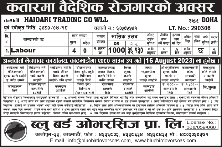 Newspaper Advertisement 17